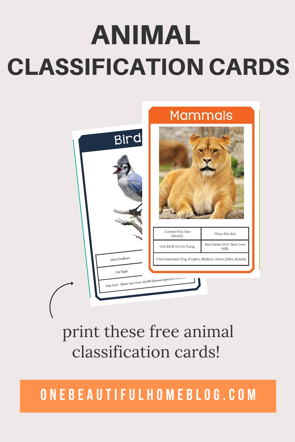 Animal Classification Cards One Beautiful Home - Free Printable Animal Classification Cards