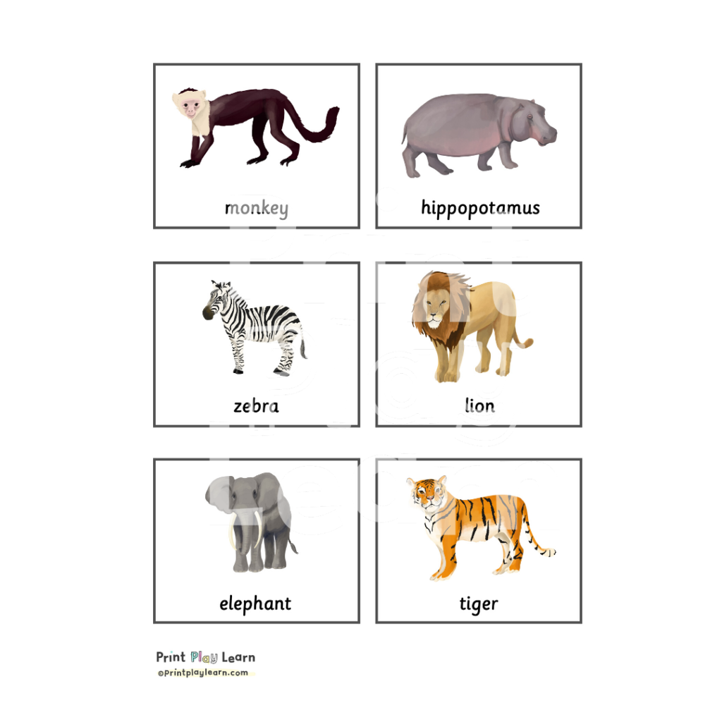 Animal Classification Cards Printable Teaching Resources Print Play Learn - Free Printable Animal Classification Cards