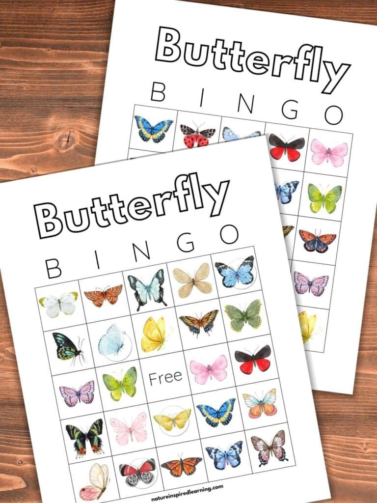 Free Printable Bingo Chips FREE Printable Hub Free Printable Bingo Chips FREE Printable Hub