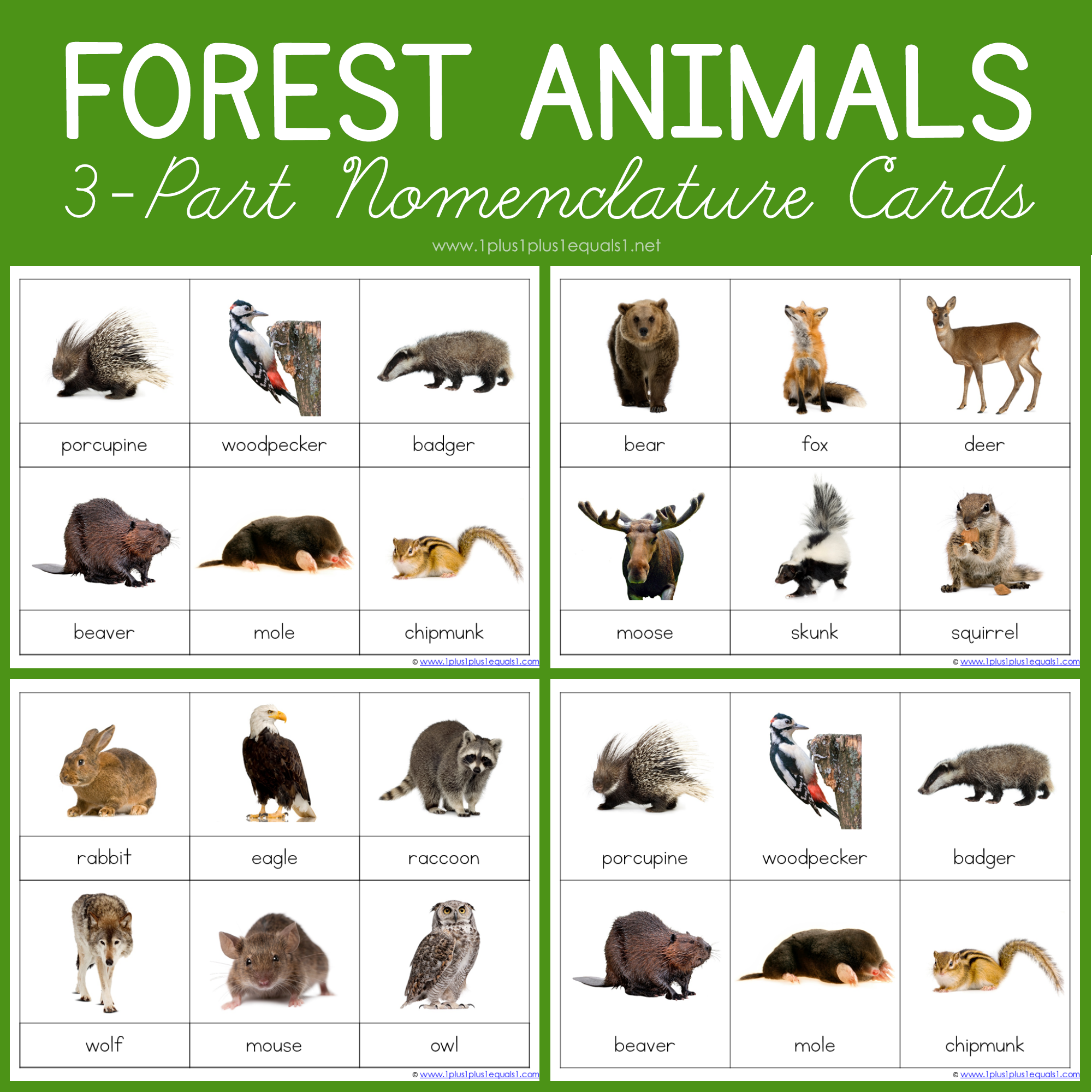 Forest Animals Montessori Printables FREE 3 Part Cards 1 1 1 1 - Free Printable Animal Classification Cards