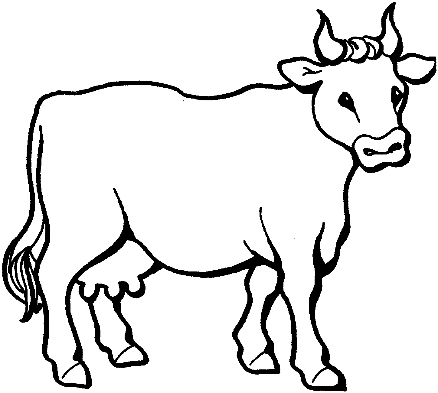 Free Printable Cow Coloring Pages For Kids Animal Place - Coloring Pages of Cows Free Printable